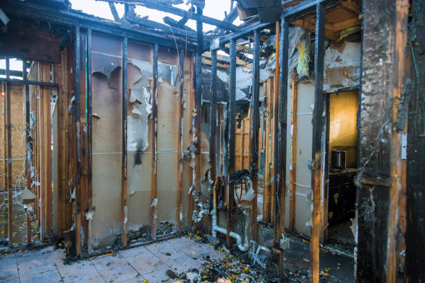 Professional Smoke Odor Removal technician working in Middletown, VA